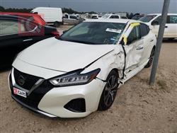 نيسان ماكسيما